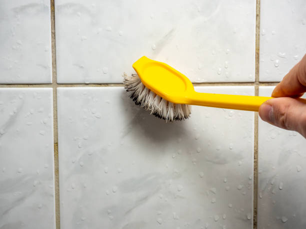 Best Commercial Mold Removal  in Newtown, OH