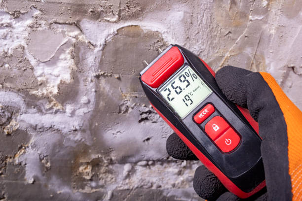 Best Mold Remediation  in Newtown, OH