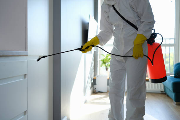 Best Toxic Mold Removal  in Newtown, OH